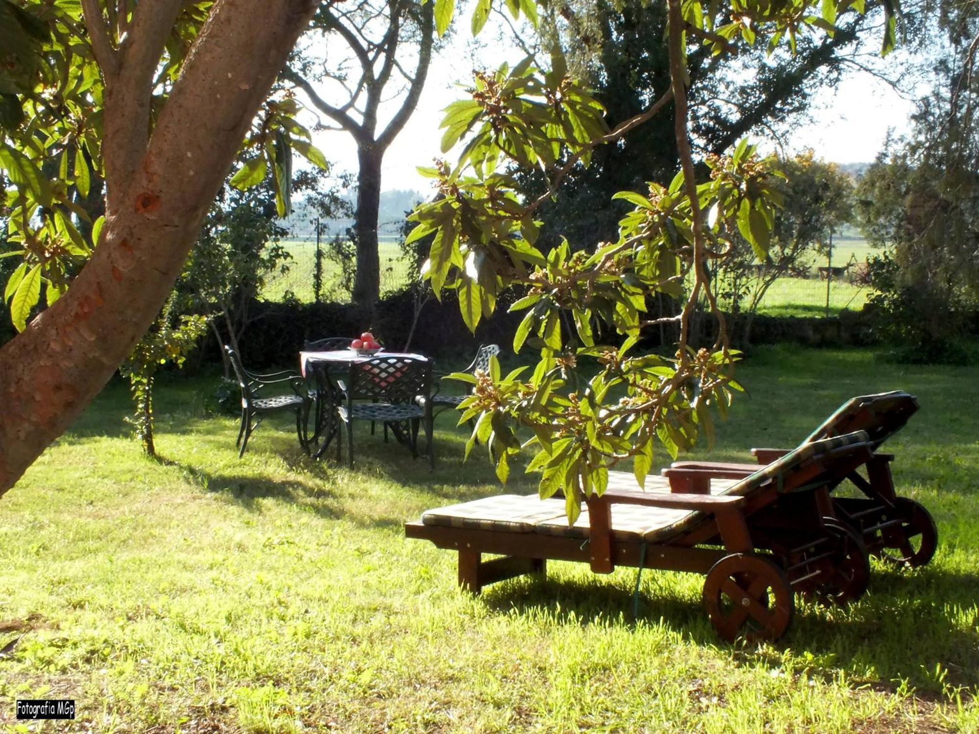 Agriturismo La Concia Giuncarico Ngoại thất bức ảnh