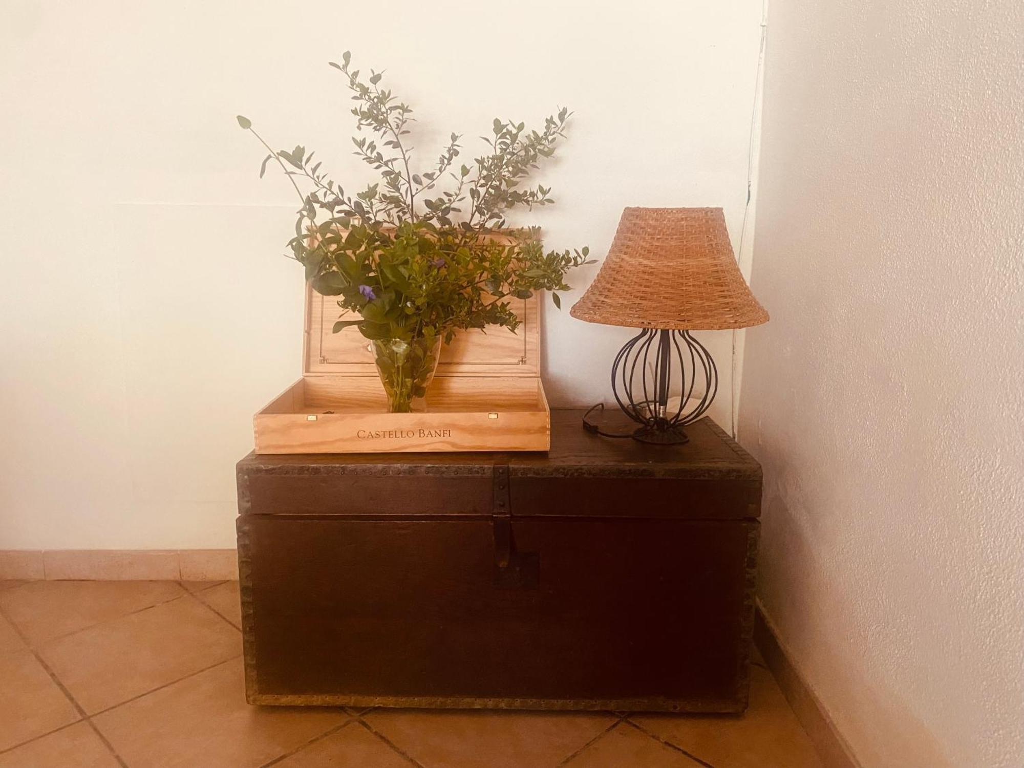 Agriturismo La Concia Giuncarico Ngoại thất bức ảnh